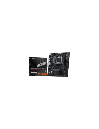 PRO_A620AM-B_EVO