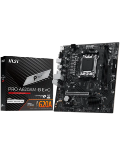 PRO_A620AM-B_EVO 2