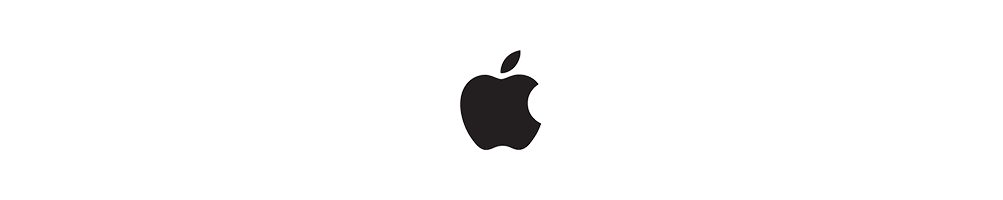 APPLE MacBook